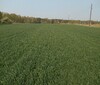 СИБАРД - Уральский НИИСХ - филиал ФГБНУ УрФАНИЦ УРО РАН