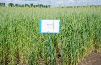 ИРГИНА - Уральский НИИСХ - филиал ФГБНУ УрФАНИЦ УРО РАН