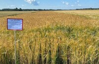 Крауф - Уральский НИИСХ - филиал ФГБНУ УрФАНИЦ УРО РАН