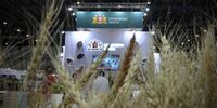УрФАНИЦ УрО РАН представляет научный потенциал Урала на крупнейшей агровыставке - Уральский НИИСХ - филиал ФГБНУ УрФАНИЦ УРО РАН