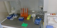 ИТОГИ РАБОТЫ КРУГЛОГО СТОЛА  ПО ОСВОЕНИЮ БИОТЕХНОЛОГИЧЕСКИХ МЕТОДОВ СЕЛЕКЦИИ СЕЛЬСКОХОЗЯЙСТВЕННЫХ КУЛЬТУР НА УРАЛЕ - Уральский НИИСХ - филиал ФГБНУ УрФАНИЦ УРО РАН
