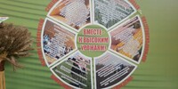  V МЕЖРЕГИОНАЛЬНАЯ  АГРОПРОМЫШЛЕННАЯ ВЫСТАВКА  УФО (3-5 сентября 2014 г.,  г. Екатеринбург) - Уральский НИИСХ - филиал ФГБНУ УрФАНИЦ УРО РАН
