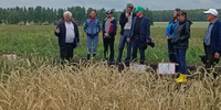 ПРИЕМКА ОПЫТОВ В УРАЛЬСКОМ НИИСХ - Уральский НИИСХ - филиал ФГБНУ УрФАНИЦ УРО РАН
