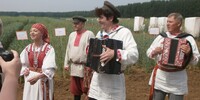 ОЗИМЫЕ КУЛЬТУРЫ В РАСТЕНИЕВОДСТВЕ СРЕДНЕГО УРАЛА: ПРОБЛЕМЫ И ПЕРСПЕКТИВЫ ИСПОЛЬЗОВАНИЯ - Уральский НИИСХ - филиал ФГБНУ УрФАНИЦ УРО РАН